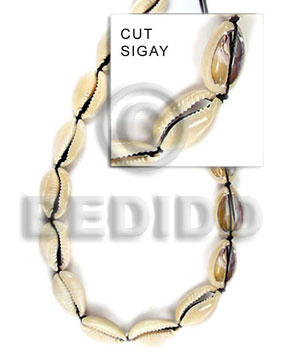 hand made Sigay Whole Shell Beads