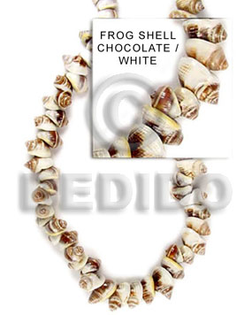Frog Shell Chocolate White