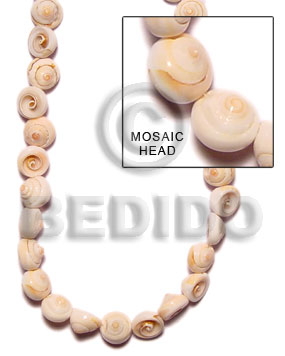 Mosaic head Whole Shell Beads