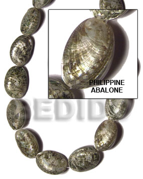 philippine abalone - Whole Shell Beads