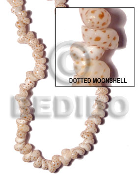 Dotted moonshell Whole Shell Beads