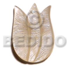 tulip hammershell 40mm - Carved Pendants