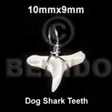 Dog shark teeth pendant 10mmx9mm- Horn Pendants
