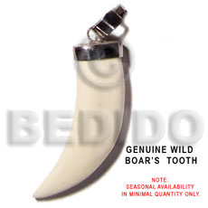 hand made Wild boars tooth Horn Pendants