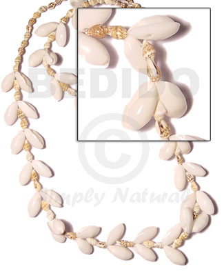 Bubble shell nassa white Leis