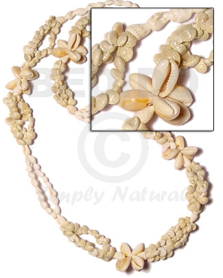 tahiti - sigay, white nassa and bonium shell length =35 in. - Leis