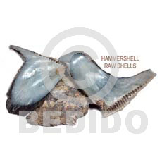 Ra Unpolished Hammershells Per