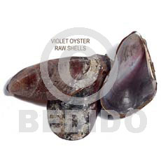 hand made Ra unpolished violet oyster shells Raw Shells