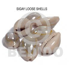 loose sigay shells / no holes / per kilo - Raw Shells