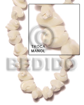 Troca manol Shell Beads