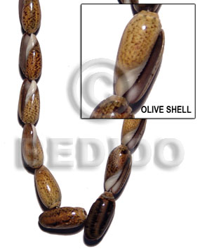 Olive Shell Whole