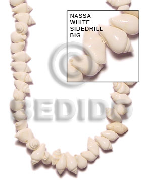 Nassa white big Shell Beads
