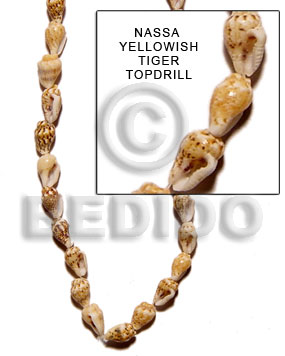 hand made Yellowish tiger nassa topdrill Shell Beads