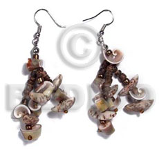 dangling buri tiger seeds  4-5mm coco nat. brown and luhuanus shells combination - Shell Earrings