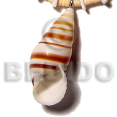 hand made Land snail Shell Pendant