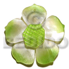 Graduated lime 35mm hammershell flower Shell Pendant