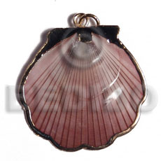 Amosiom shell approx. 35mm Shell Pendant