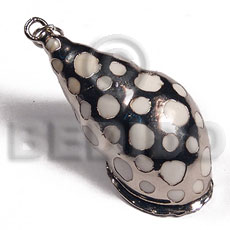 Casis fela family shell approx. Shell Pendant