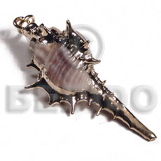 Koriosos family shell approx. Shell Pendant