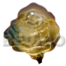 35mm blacklip rose Shell Pendants