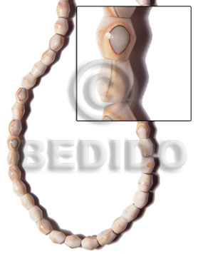 Special Cuts Shell Beads
