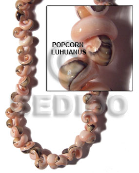 luhuanus head popcorn - Whole Shell Beads