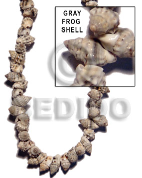 frog shell gray - Whole Shell Beads