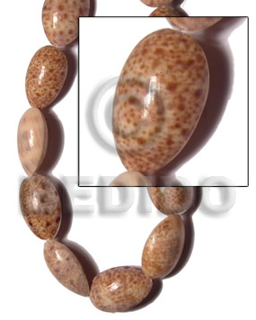 Cypraea link 20mmx20mmx12mm varying Whole Shell Beads