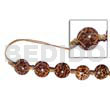 Round 35mm Cowrie Tiger Shell