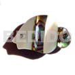 Inlaid Fish Troca/pawa Brooch