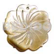 Blacklip 5 Petals Flower Groove