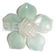45mm Turquoise Hammershell Flower Carved