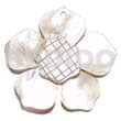 45mm Hammershell Flower Groove Nectar