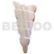55mmx20mm Seashell Shaped Kabibe Shell
