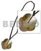 40mm Scallop Blacklip 2-3mm Coco