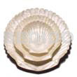 Capiz King Scallop Shell Out