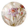 Round 40mm Hammershell Handpainted Design