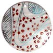 Round 40mm Hammershell Handpainted Design