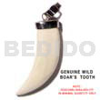 Wild Boars Tooth