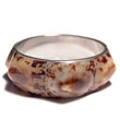 Limpet Shells In 1in. Metal
