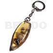 50mmx27mm Transparent Clear Amber Resin