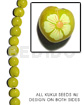 Kukui Seed / Yellow Flower