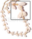 Bubble Shell Nassa White Length