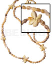 Sigay Flower- Tiger Nassa /