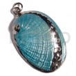 Glistening Turquoise Abalone (approx. 45mm