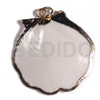 Amosiom Shell (approx. 35mm -