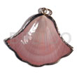 Amosiom Shell (approx. 35mm -