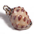 Dropa Murom Shell (approx. 35mm