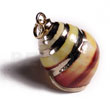 Yellow Shell / Molten Gold