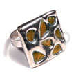 Glistening Orange Abalone / Square